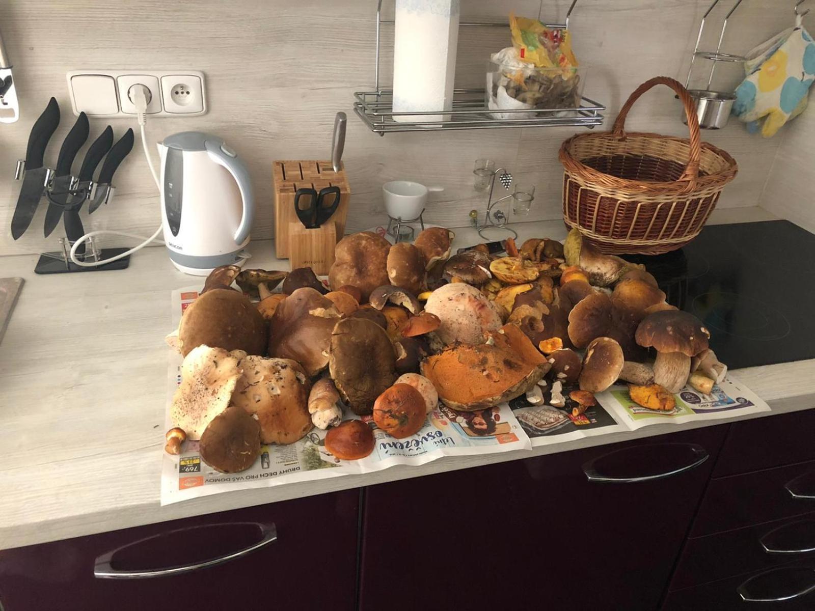 Apartman Boruvka Česká Kamenice Екстериор снимка